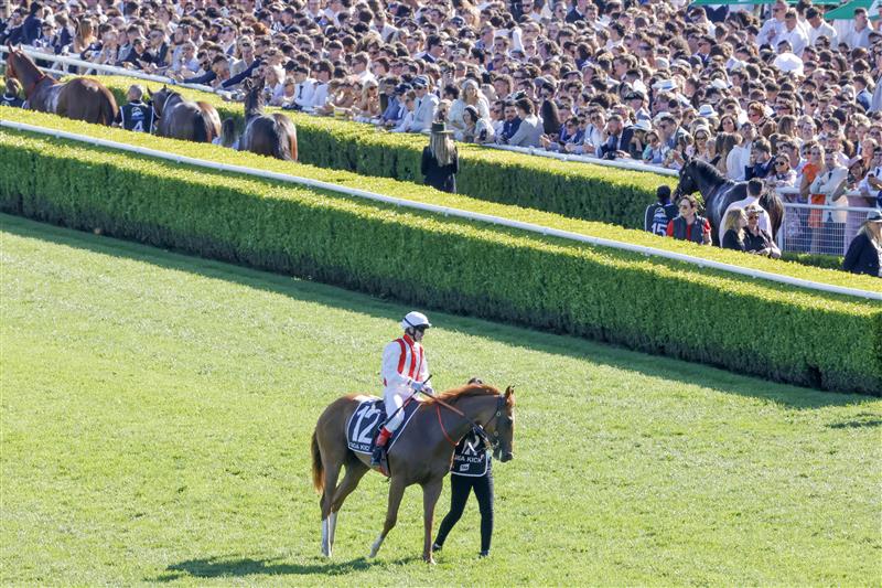 SYDNEY, AUSTRALIA - OCTOBER 15: Craig Williams (red and white) on Giga Kick returns to scale after winning race 7 The Tab Everest during Everest Day at Royal Randwick Racecourse on October 15, 2022 in Sydney, Australia. (Photo by Jenny Evans/Getty Images)