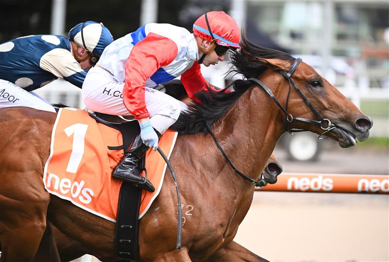 MELBOURNE, AUSTRALIA - OCTOBER 15: Harry Coffey riding Mr Maestro defeats Daniel Moor riding Muramasa in Race 3, the Neds Classic, during Caulfield Cup Day at Caulfield Racecourse on October 15, 2022 in Melbourne, Australia. (Photo by Vince Caligiuri/Getty Images)