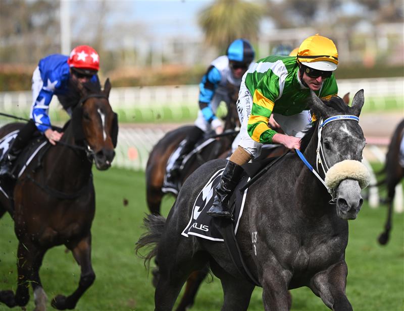 MELBOURNE, AUSTRALIA - OCTOBER 15: Luke Nolen riding Chain of Lightning winning Race 8, the exus Tristarc Stakes, during Caulfield Cup Day at Caulfield Racecourse on October 15, 2022 in Melbourne, Australia. (Photo by Vince Caligiuri/Getty Images)