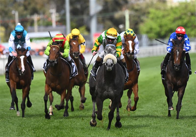 MELBOURNE, AUSTRALIA - OCTOBER 15: Luke Nolen riding Chain of Lightning winning Race 8, the exus Tristarc Stakes, during Caulfield Cup Day at Caulfield Racecourse on October 15, 2022 in Melbourne, Australia. (Photo by Vince Caligiuri/Getty Images)