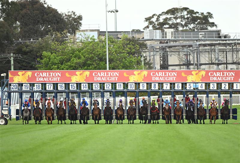 MELBOURNE, AUSTRALIA - OCTOBER 15: Michael Dee riding Durston out of barrier 7 before winning Race 9, the Carlton Draught Caulfield Cup, during Caulfield Cup Day at Caulfield Racecourse on October 15, 2022 in Melbourne, Australia. (Photo by Vince Caligiuri/Getty Images)