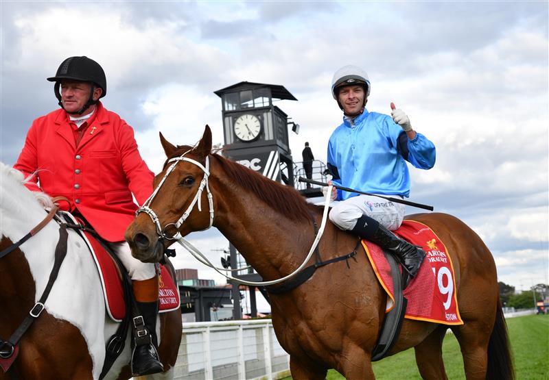 MELBOURNE, AUSTRALIA - OCTOBER 15: Michael Dee riding Durston after winning Race 9, the Carlton Draught Caulfield Cup, during Caulfield Cup Day at Caulfield Racecourse on October 15, 2022 in Melbourne, Australia. (Photo by Vince Caligiuri/Getty Images)