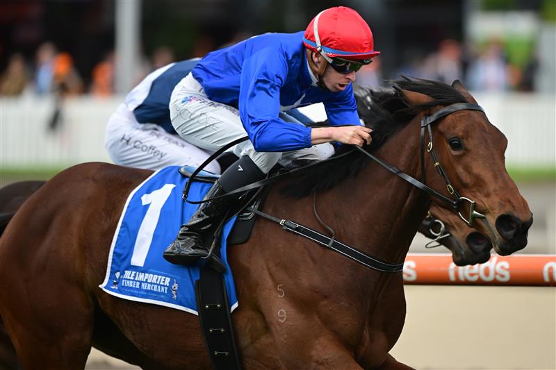 MELBOURNE, AUSTRALIA - OCTOBER 15: Michael Dee riding Quang Tri winning Race 1, the Tile Importer Trophy, during Caulfield Cup Day at Caulfield Racecourse on October 15, 2022 in Melbourne, Australia. (Photo by Vince Caligiuri/Getty Images)