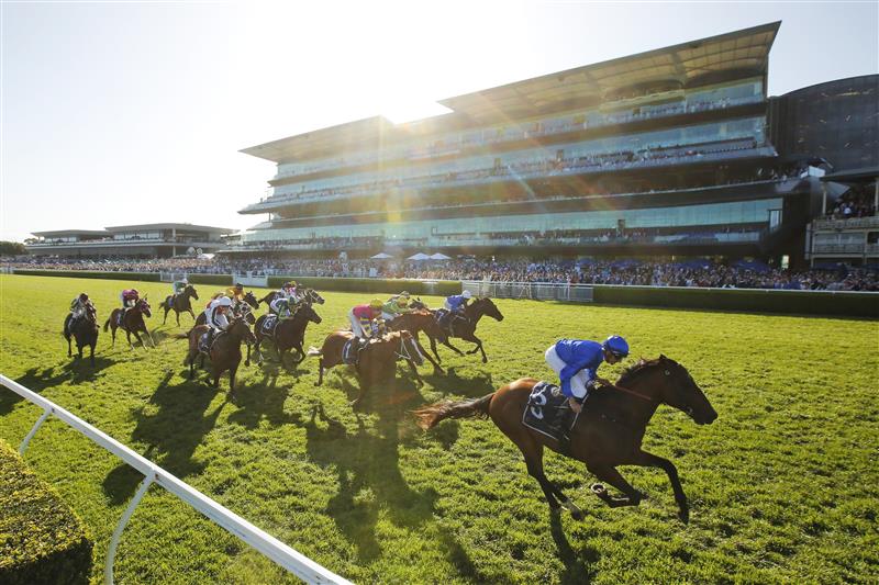SYDNEY, AUSTRALIA - OCTOBER 15: Nash Rawiller on Vilana wins wins race 8 the Silver Eagle during Everest Day at Royal Randwick Racecourse on October 15, 2022 in Sydney, Australia. (Photo by Mark Evans/Getty Images)