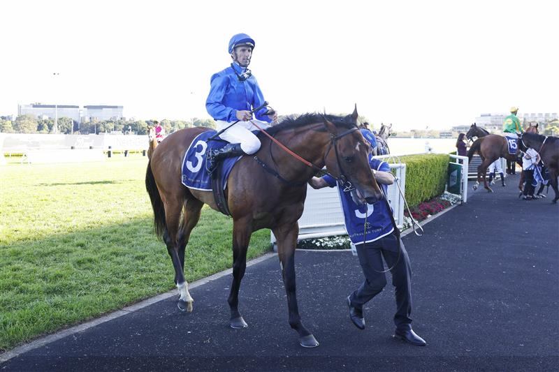 SYDNEY, AUSTRALIA - OCTOBER 15: Nash Rawiller on Vilana returns to scale after winning race 8 the Silver Eagle during Everest Day at Royal Randwick Racecourse on October 15, 2022 in Sydney, Australia. (Photo by Mark Evans/Getty Images)