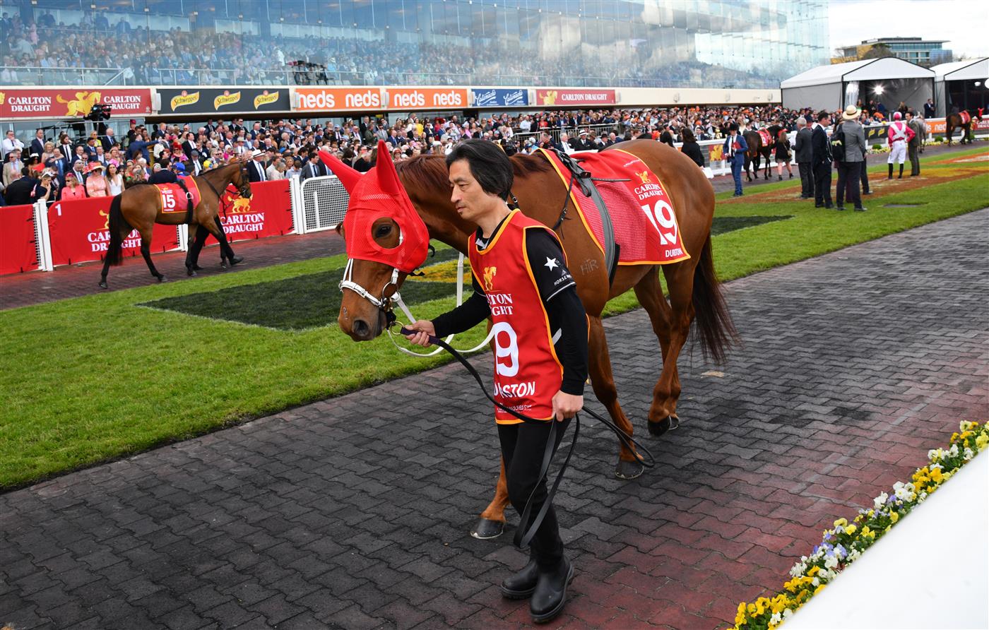 MELBOURNE, AUSTRALIA - OCTOBER 15: Durston parades before winning Race 9, the Carlton Draught Caulfield Cup, during Caulfield Cup Day at Caulfield Racecourse on October 15, 2022 in Melbourne, Australia. (Photo by Vince Caligiuri/Getty Images)