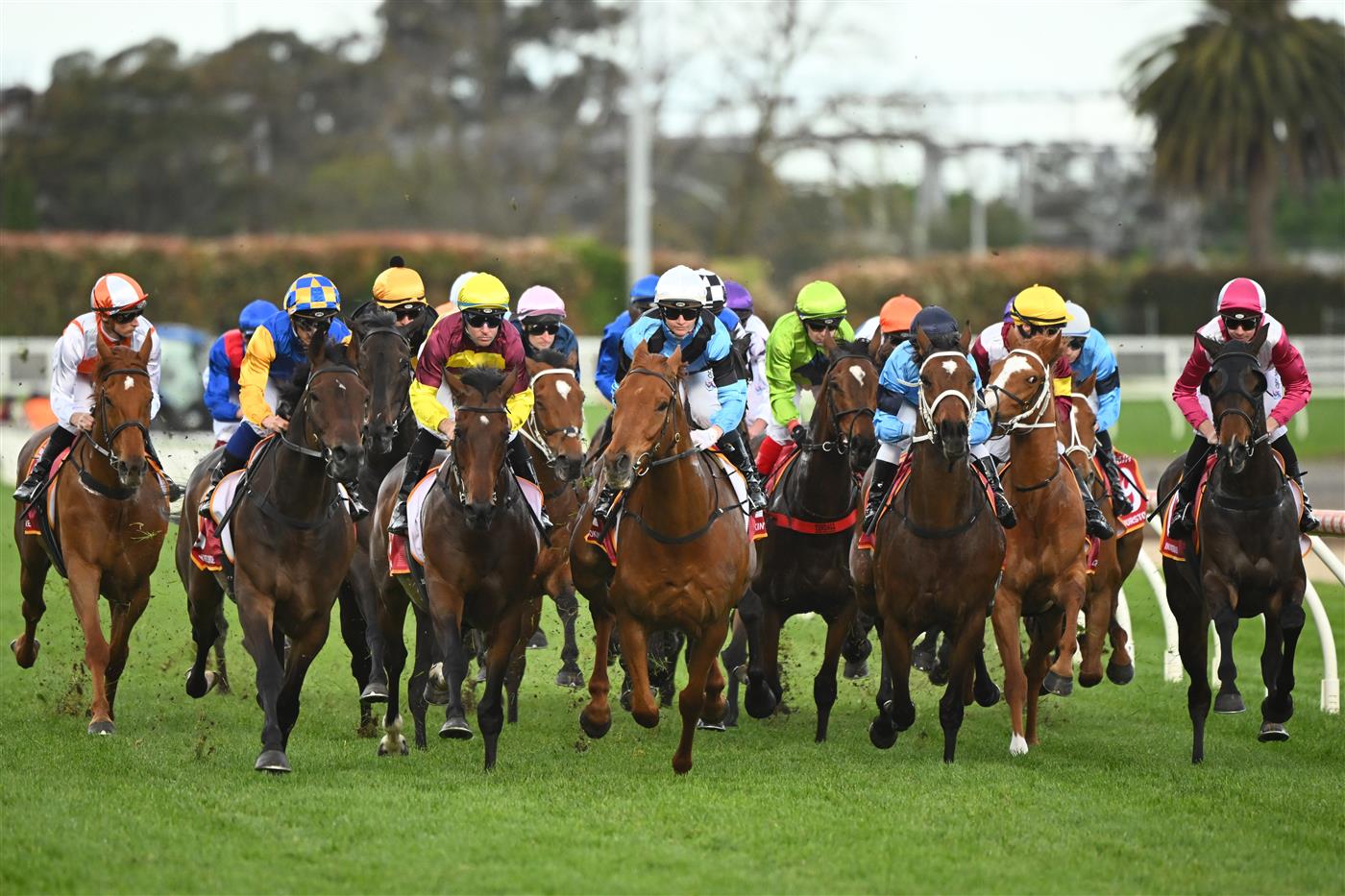 MELBOURNE, AUSTRALIA - OCTOBER 15: Horse turn into the first turn in Race 9, the Carlton Draught Caulfield Cup, during Caulfield Cup Day at Caulfield Racecourse on October 15, 2022 in Melbourne, Australia. (Photo by Vince Caligiuri/Getty Images)