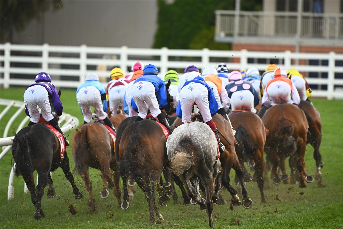 MELBOURNE, AUSTRALIA - OCTOBER 15: Horse turn into the first turn in Race 9, the Carlton Draught Caulfield Cup, during Caulfield Cup Day at Caulfield Racecourse on October 15, 2022 in Melbourne, Australia. (Photo by Vince Caligiuri/Getty Images)