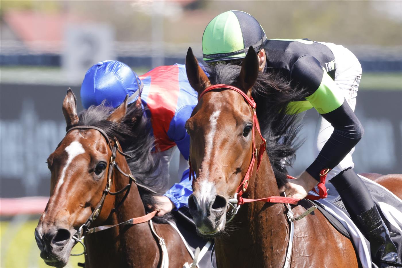 SYDNEY, AUSTRALIA - OCTOBER 15: Sam Clipperton (lime cap) on Stockman wins race 4 The Star St Leger Stakes during Everest Day at Royal Randwick Racecourse on October 15, 2022 in Sydney, Australia. (Photo by Jenny Evans/Getty Images)