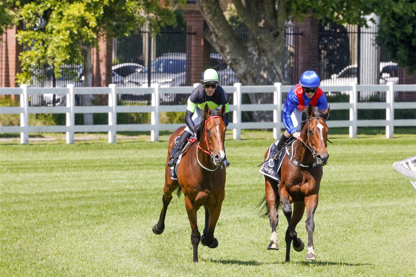 SYDNEY, AUSTRALIA - OCTOBER 15: Sam Clipperton (lime cap) on Stockman returns to scale after winning race 4 The Star St Leger Stakes during Everest Day at Royal Randwick Racecourse on October 15, 2022 in Sydney, Australia. (Photo by Jenny Evans/Getty Images)