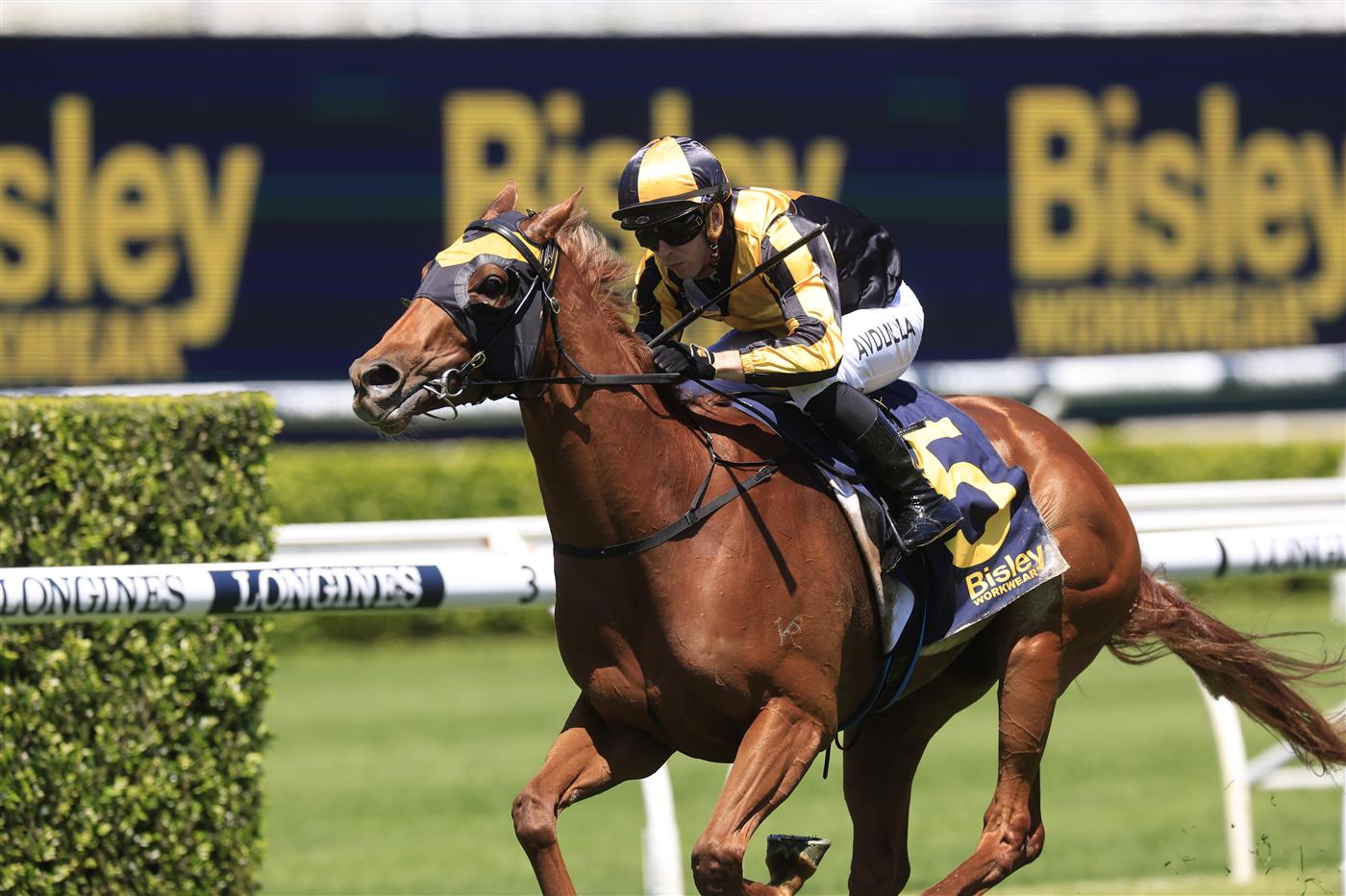 SYDNEY, AUSTRALIA - OCTOBER 15: Brenton Avdulla on A Lot More Love wins race 1 the Bisley Workwear Reginald Allen Quality during Everest Day at Royal Randwick Racecourse on October 15, 2022 in Sydney, Australia. (Photo by Mark Evans/Getty Images)