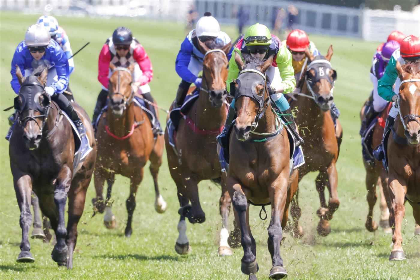 SYDNEY, AUSTRALIA - OCTOBER 15: Robbie Dolan (lime cap) on Cisco Bay wins race 2 the Big Dance Wild Card during Everest Day at Royal Randwick Racecourse on October 15, 2022 in Sydney, Australia. (Photo by Jenny Evans/Getty Images)