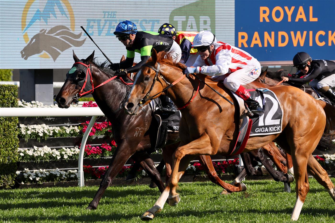 Giga Kick (R), ridden by jockey Craig Williams, wins the Everest 2022 horse race at the Royal Randwick race course in Sydney on October 15, 2022. - XGTY-- IMAGE RESTRICTED TO EDITORIAL USE - STRICTLY NO COMMERCIAL USE -- (Photo by DAVID GRAY / AFP) / XGTY-- IMAGE RESTRICTED TO EDITORIAL USE - STRICTLY NO COMMERCIAL USE -- (Photo by DAVID GRAY/AFP via Getty Images)