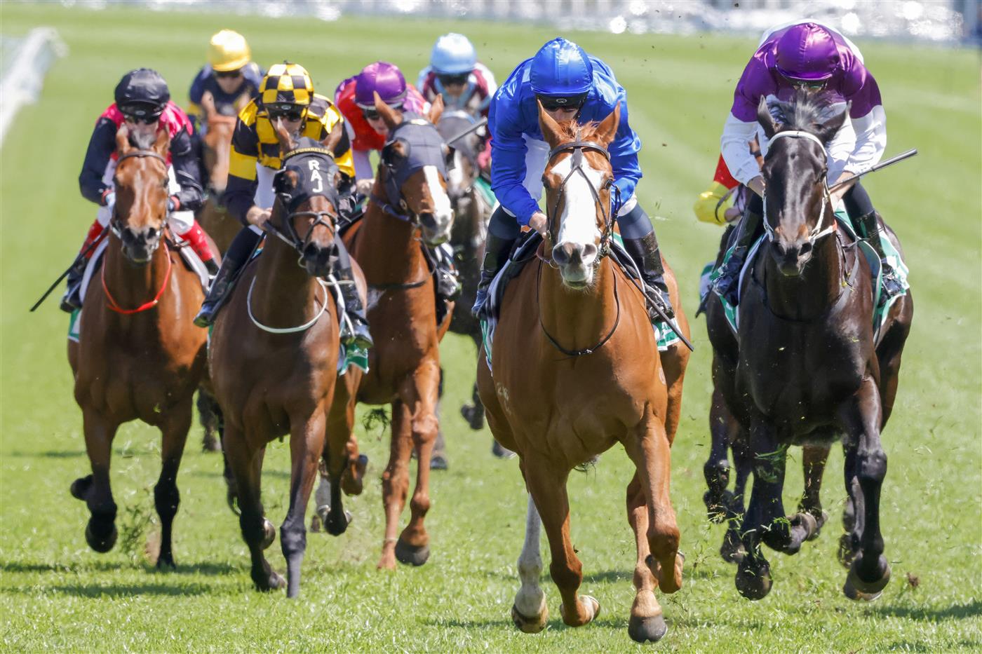 SYDNEY, AUSTRALIA - OCTOBER 15: James McDonald (all blue) on Cascadian wins race 3 the New Tab App Craven Plate during Everest Day at Royal Randwick Racecourse on October 15, 2022 in Sydney, Australia. (Photo by Jenny Evans/Getty Images)