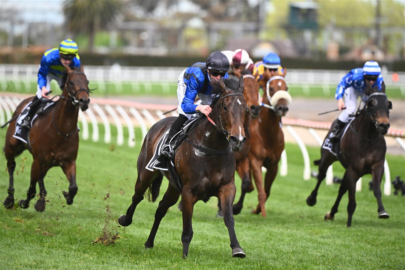 MELBOURNE, AUSTRALIA - OCTOBER 15: Jye McNeil riding Asfoora winning Race 7, the The Mccafe Sprint, during Caulfield Cup Day at Caulfield Racecourse on October 15, 2022 in Melbourne, Australia. (Photo by Vince Caligiuri/Getty Images)