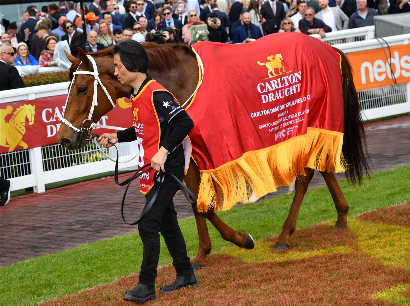 MELBOURNE, AUSTRALIA - OCTOBER 15: Durston after winning Race 9, the Carlton Draught Caulfield Cup, during Caulfield Cup Day at Caulfield Racecourse on October 15, 2022 in Melbourne, Australia. (Photo by Vince Caligiuri/Getty Images)