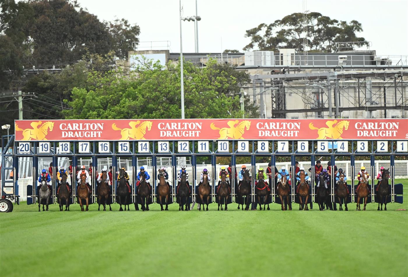MELBOURNE, AUSTRALIA - OCTOBER 15: Michael Dee riding Durston out of barrier 7 before winning Race 9, the Carlton Draught Caulfield Cup, during Caulfield Cup Day at Caulfield Racecourse on October 15, 2022 in Melbourne, Australia. (Photo by Vince Caligiuri/Getty Images)