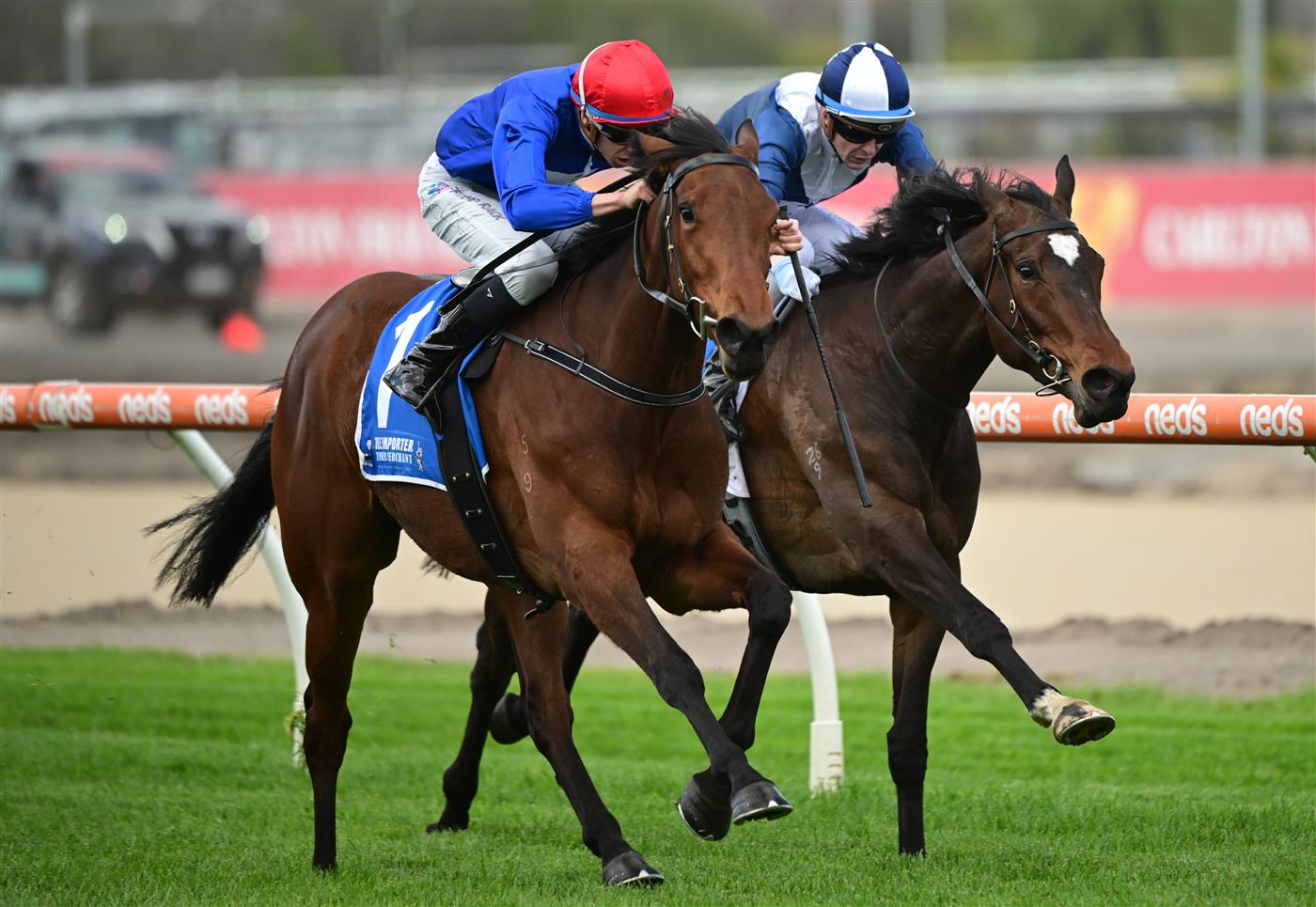 MELBOURNE, AUSTRALIA - OCTOBER 15: Michael Dee riding Quang Tri winning Race 1, the Tile Importer Trophy, during Caulfield Cup Day at Caulfield Racecourse on October 15, 2022 in Melbourne, Australia. (Photo by Vince Caligiuri/Getty Images)