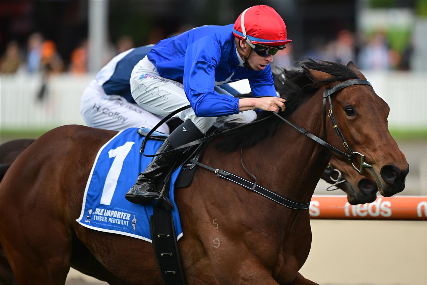 MELBOURNE, AUSTRALIA - OCTOBER 15: Michael Dee riding Quang Tri winning Race 1, the Tile Importer Trophy, during Caulfield Cup Day at Caulfield Racecourse on October 15, 2022 in Melbourne, Australia. (Photo by Vince Caligiuri/Getty Images)