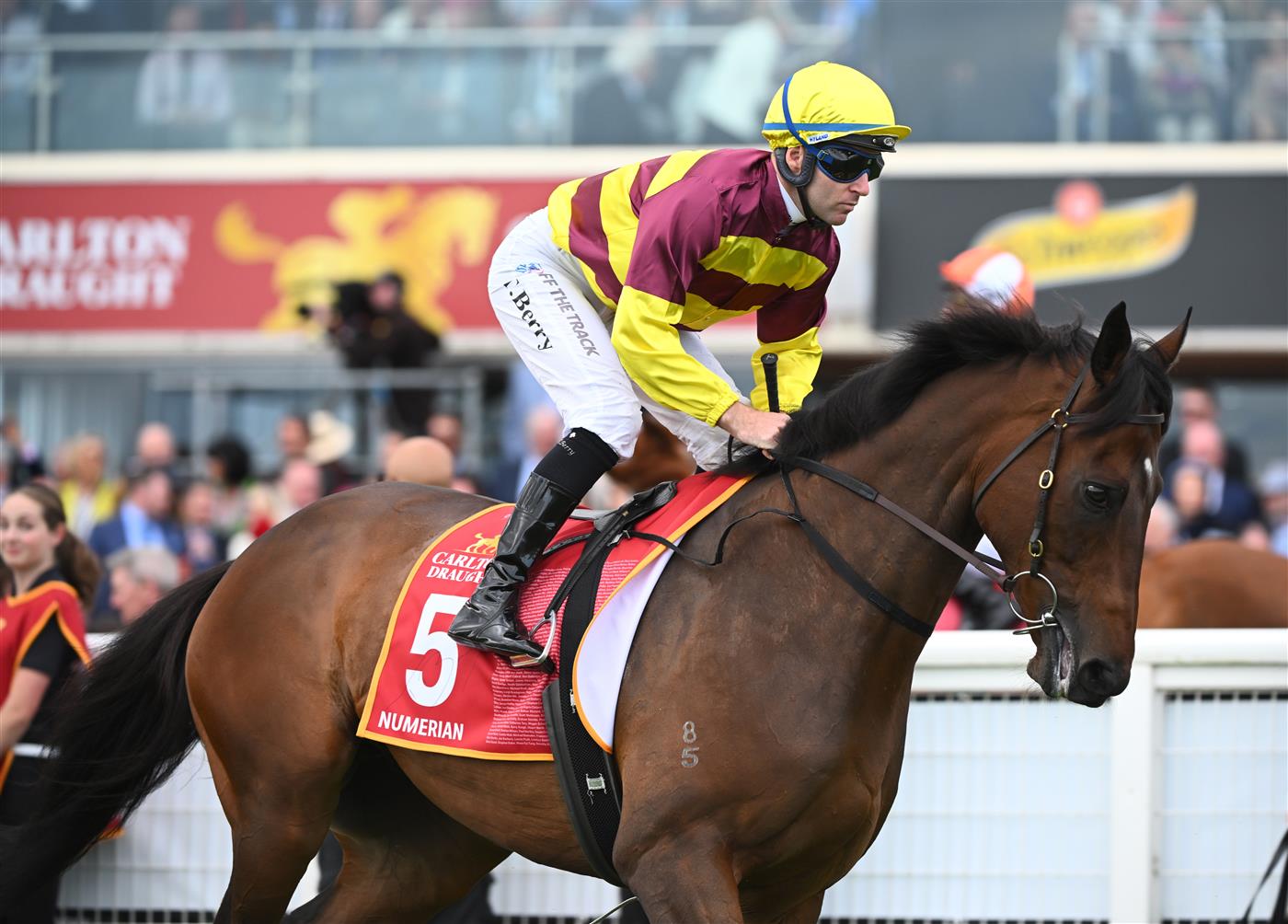 MELBOURNE, AUSTRALIA - OCTOBER 15: Tommy Berry riding Numerian before Race 9, the Carlton Draught Caulfield Cup, during Caulfield Cup Day at Caulfield Racecourse on October 15, 2022 in Melbourne, Australia. (Photo by Vince Caligiuri/Getty Images)