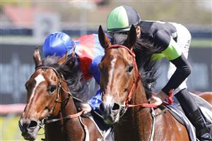 SYDNEY, AUSTRALIA - OCTOBER 15: Sam Clipperton (lime cap) on Stockman wins race 4 The Star St Leger Stakes during Everest Day at Royal Randwick Racecourse on October 15, 2022 in Sydney, Australia. (Photo by Jenny Evans/Getty Images)