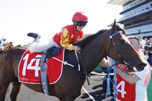 SYDNEY, AUSTRALIA - OCTOBER 15: Rachel King on Rocketing By returns to scale after winning race 6 the Fujitsu General Sydney Stakes during Everest Day at Royal Randwick Racecourse on October 15, 2022 in Sydney, Australia. (Photo by Mark Evans/Getty Images)