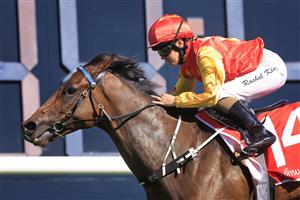 SYDNEY, AUSTRALIA - OCTOBER 15: Rachel King on Rocketing By wins race 6 the Fujitsu General Sydney Stakes during Everest Day at Royal Randwick Racecourse on October 15, 2022 in Sydney, Australia. (Photo by Mark Evans/Getty Images)