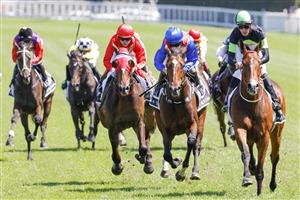 SYDNEY, AUSTRALIA - OCTOBER 15: Sam Clipperton (lime cap) on Stockman wins race 4 The Star St Leger Stakes during Everest Day at Royal Randwick Racecourse on October 15, 2022 in Sydney, Australia. (Photo by Jenny Evans/Getty Images)
