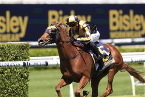 SYDNEY, AUSTRALIA - OCTOBER 15: Brenton Avdulla on A Lot More Love wins race 1 the Bisley Workwear Reginald Allen Quality during Everest Day at Royal Randwick Racecourse on October 15, 2022 in Sydney, Australia. (Photo by Mark Evans/Getty Images)