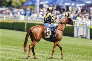 SYDNEY, AUSTRALIA - OCTOBER 15: Brenton Avdulla on A Lot More Love returns to scale after winning race 1 the Bisley Workwear Reginald Allen Quality during Everest Day at Royal Randwick Racecourse on October 15, 2022 in Sydney, Australia. (Photo by Jenny Evans/Getty Images)
