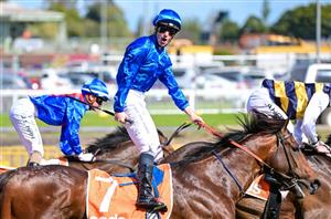 2022 Cox Plate Tips - Can El Bodegon spoil the Anamoe party?