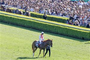 SYDNEY, AUSTRALIA - OCTOBER 15: Craig Williams (red and white) on Giga Kick returns to scale after winning race 7 The Tab Everest during Everest Day at Royal Randwick Racecourse on October 15, 2022 in Sydney, Australia. (Photo by Jenny Evans/Getty Images)