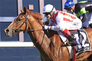 SYDNEY, AUSTRALIA - OCTOBER 15: Craig Williams on Giga Kick wins race 7 the TAB Everest during Everest Day at Royal Randwick Racecourse on October 15, 2022 in Sydney, Australia. (Photo by Mark Evans/Getty Images)