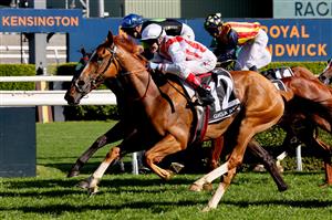 Giga Kick (R), ridden by jockey Craig Williams, wins the Everest 2022 horse race at the Royal Randwick race course in Sydney on October 15, 2022. - XGTY-- IMAGE RESTRICTED TO EDITORIAL USE - STRICTLY NO COMMERCIAL USE -- (Photo by DAVID GRAY / AFP) / XGTY-- IMAGE RESTRICTED TO EDITORIAL USE - STRICTLY NO COMMERCIAL USE -- (Photo by DAVID GRAY/AFP via Getty Images)