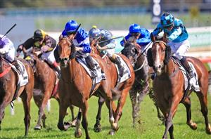 Spring Champion Stakes Betting Odds - Elliptical heads competitive market