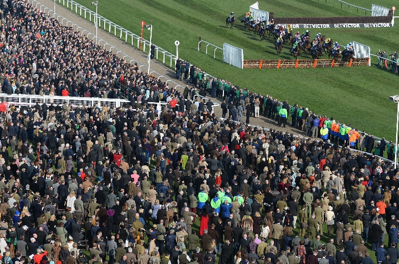 cheltenham festival crowd