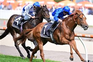 2022 Manikato Stakes Tips, Preview & Best Bets