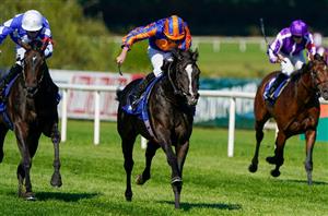 2022 Vertem Futurity Trophy Odds - Auguste Rodin favourite to hand O'Brien record win