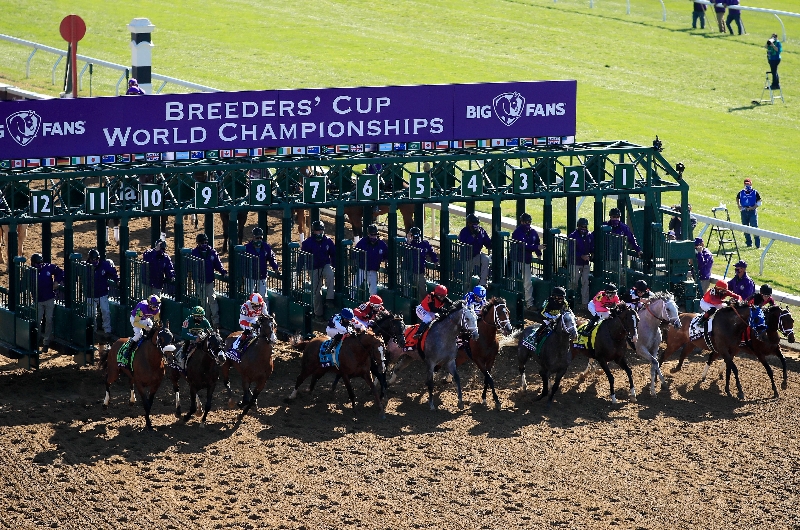 2022 Breeders' Cup Schedule | Dates, Cards and Race Previews