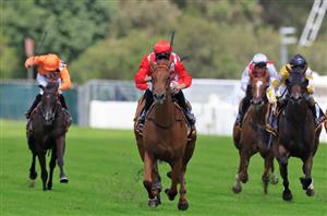 Spring Champion Stakes 2022 Barrier Draw & Final Field
