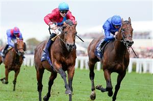 Newspaper Racing Tips September 9 Haydock Ascot Kempton Leopardstown