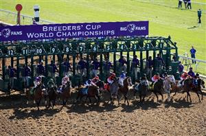 2022 Breeders' Cup Schedule - Dates, Cards and Race Previews