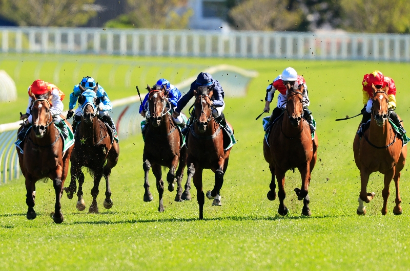 Randwick Racing Tips, Best Bets & Odds Today's Betting Tips for