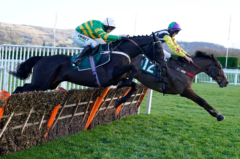 St leger betting 2022 gmc ethereum nvidia geforce gtx 1050 ti