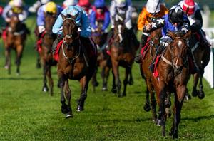 Tracker Alert - Two tracker horses running in Ireland on Sunday