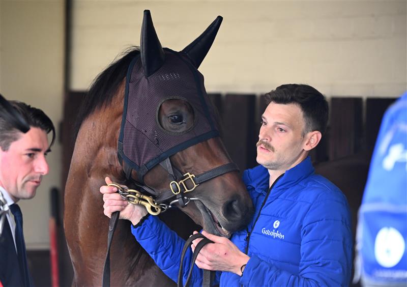 MELBOURNE, AUSTRALIA - OCTOBER 22: Cox Plate runner Anamoe is seen during Cox Plate Day at Moonee Valley Racecourse on October 22, 2022 in Melbourne, Australia. (Photo by Vince Caligiuri/Getty Images)