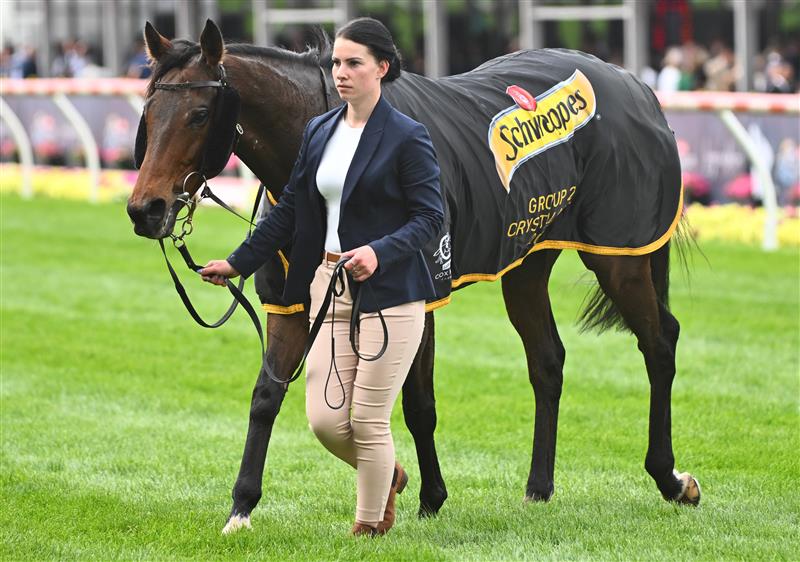 MELBOURNE, AUSTRALIA - OCTOBER 22: My Oberon after winning Race 6, the Schweppes Crystal Mile, during Cox Plate Day at Moonee Valley Racecourse on October 22, 2022 in Melbourne, Australia. (Photo by Vince Caligiuri/Getty Images)