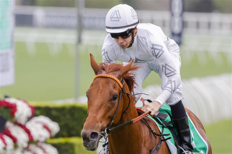 SYDNEY, AUSTRALIA - OCTOBER 22: Jason Collett on Kote wins race 6 the Grainshaker Brian Crowley Stakes during Spring Champions Stakes Day at Royal Randwick Racecourse on October 22, 2022 in Sydney, Australia. (Photo by Jenny Evans/Getty Images)