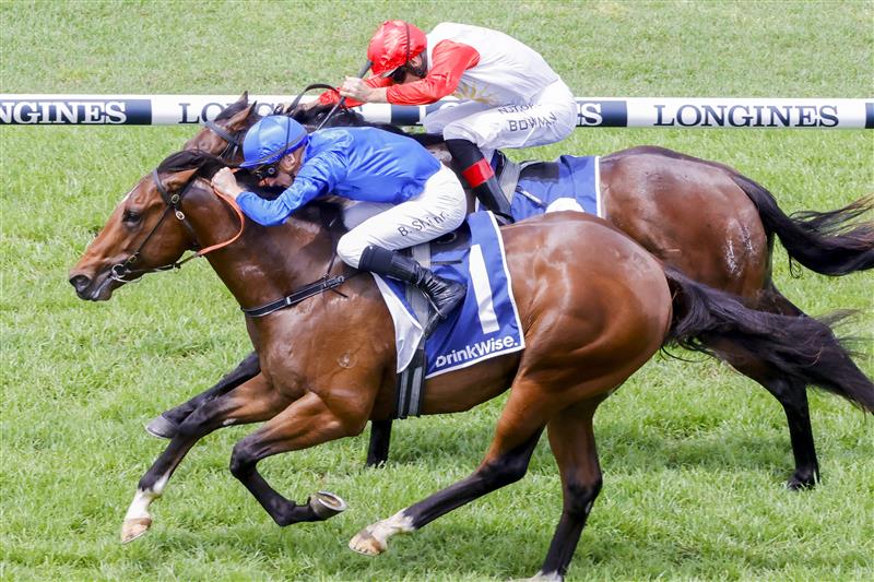 SYDNEY, AUSTRALIA - OCTOBER 22: Blake Shinn (all blue) on Barber wins race 1 the Drinkwise Kirkham Plate during Spring Champions Stakes Day at Royal Randwick Racecourse on October 22, 2022 in Sydney, Australia. (Photo by Jenny Evans/Getty Images)