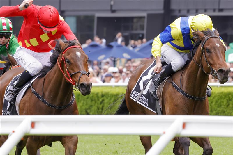 SYDNEY, AUSTRALIA - OCTOBER 22: Blake Shinn (Yellow)on Mahogony wins race 4 the Egroup Protective Services Handicap during Spring Champions Stakes Day at Royal Randwick Racecourse on October 22, 2022 in Sydney, Australia. (Photo by Jenny Evans/Getty Images)